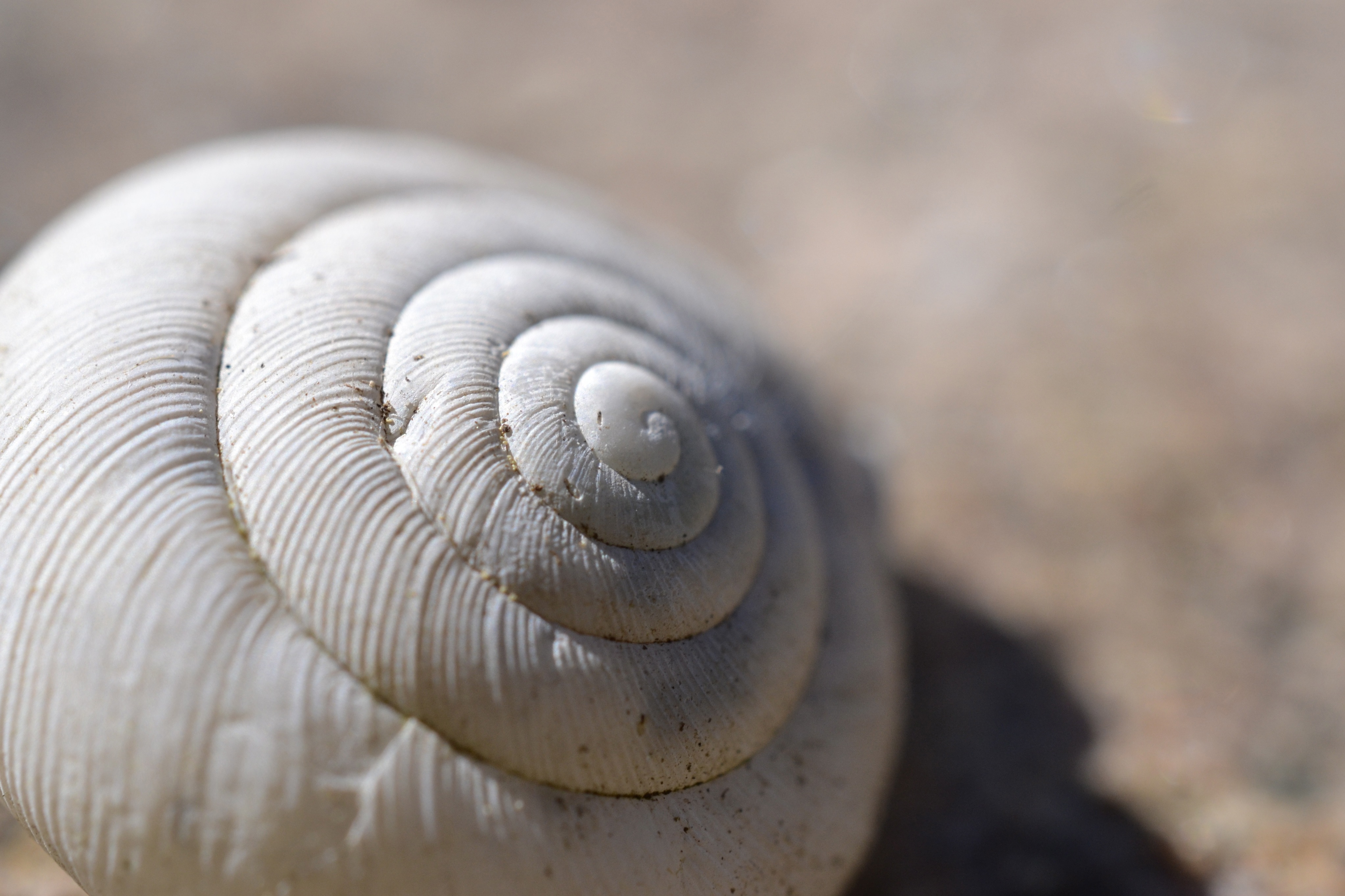 _DSC2640 - Version 2