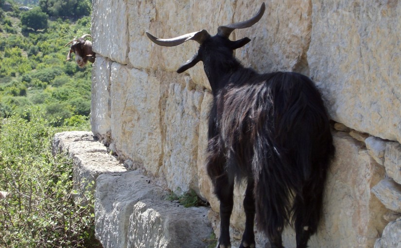 Thoughts on Twitter&nbsp;Outreach